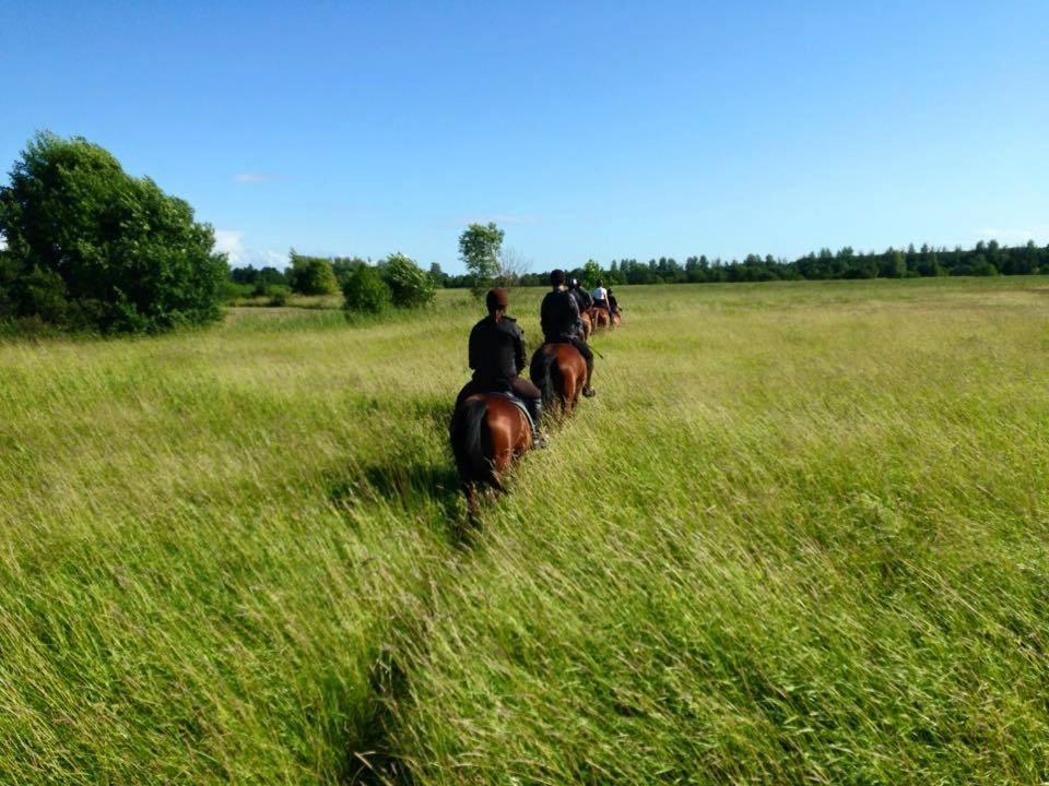 Hotel Sassi Talu Horsefarm à Pärnu Extérieur photo